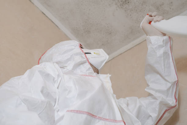 Best Local Mold Removal Service  in Crowley, TX