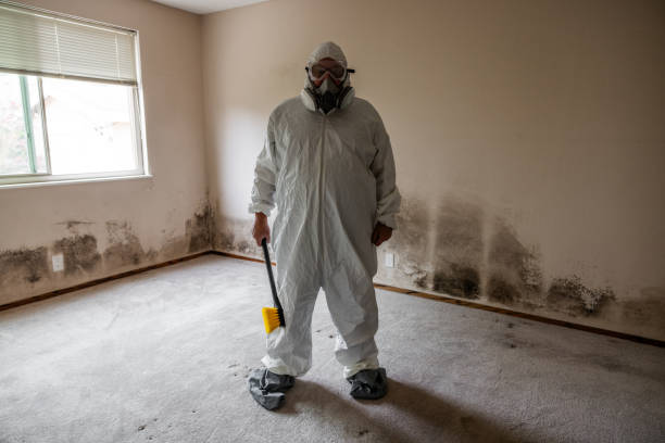 Best Mold Testing  in Crowley, TX
